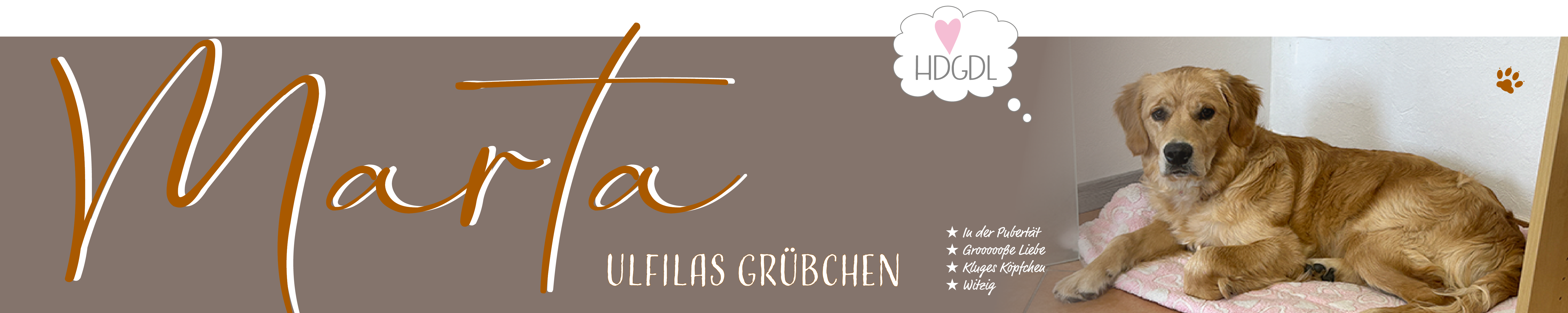 Ulfilas Golden Retriever