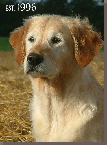 30 Jahre Tessa!