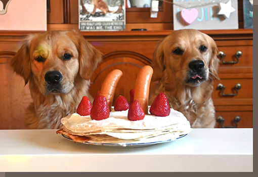 Happy Birthday Bruni!