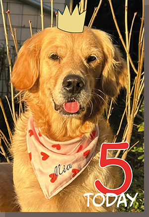 Happy Birthday Mia!